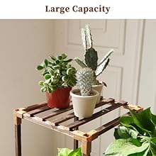 tall plant stand