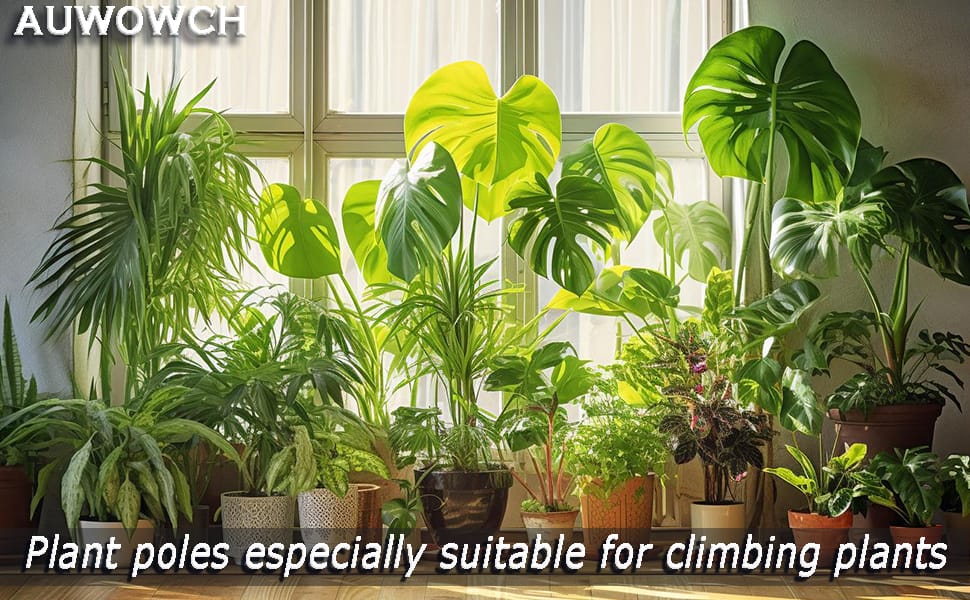 Plant Pole for Climbing Plants