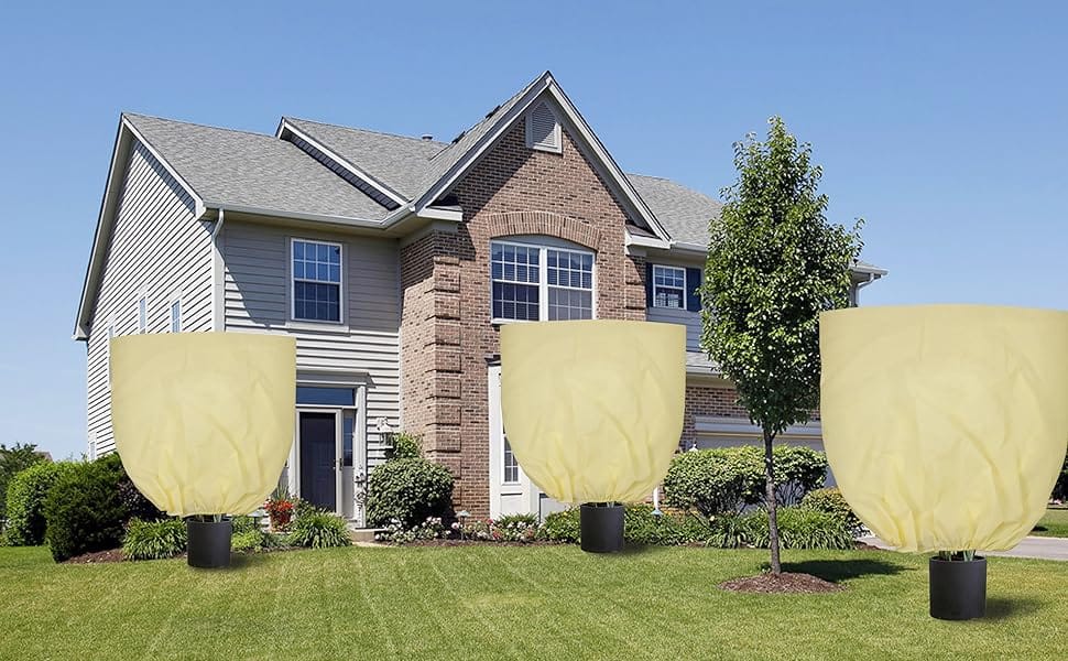 Plant Covers for Winter