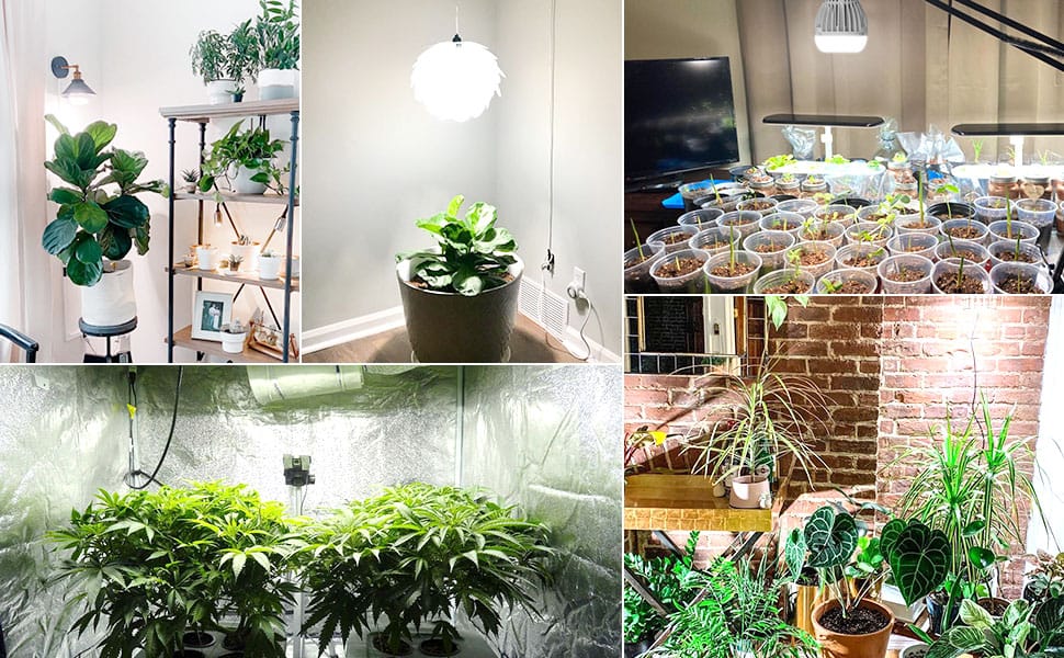 grow lights for indoor plants