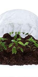 insect netting