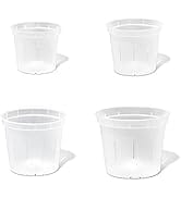 rePotme Slotted Clear Orchid Pot - 8 Pots - 2 Each of 3, 4, 5, and 6 inch
