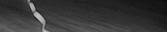 Video Widget Video Title Section