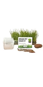 BPA-Free Container Cat Grass Kit