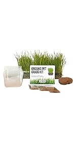 BPA-Free Container Cat Grass Kit