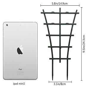 Small Trellis Size