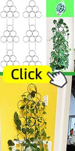 plant support
