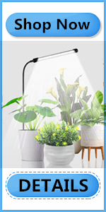 Halo Plant Light