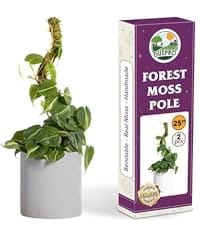 bendable moss pole