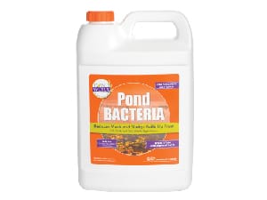 Pond Bacteria gallon