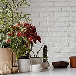 all plants