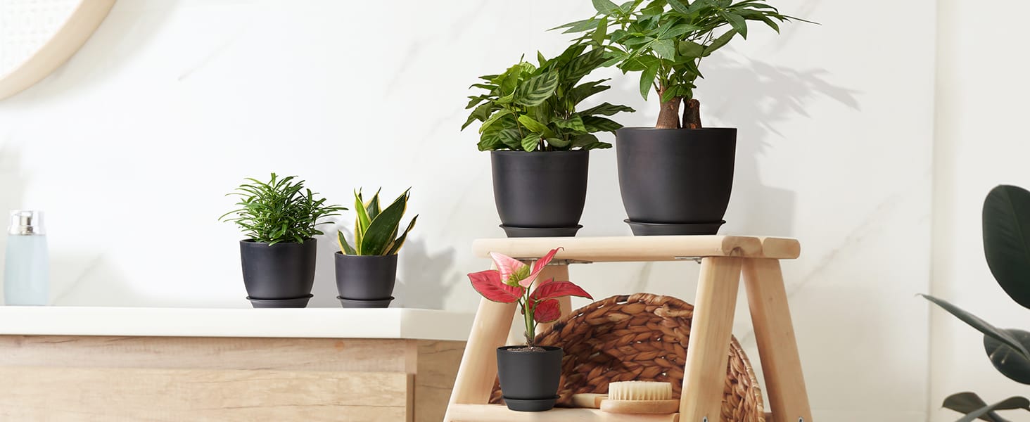 Plastic Planter