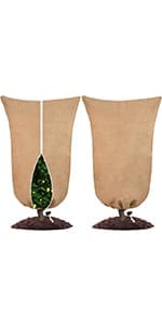 frost plant covers frost protection for plants