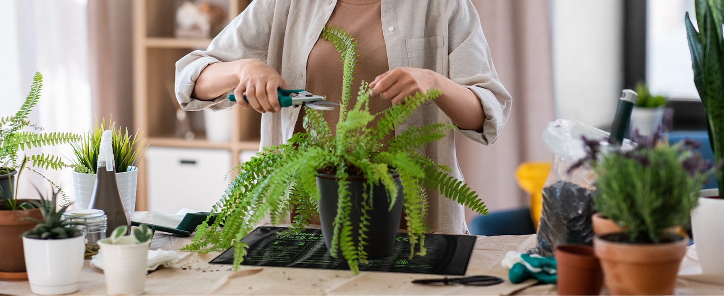 heat mat for seedlings