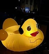 Duck Pool Float