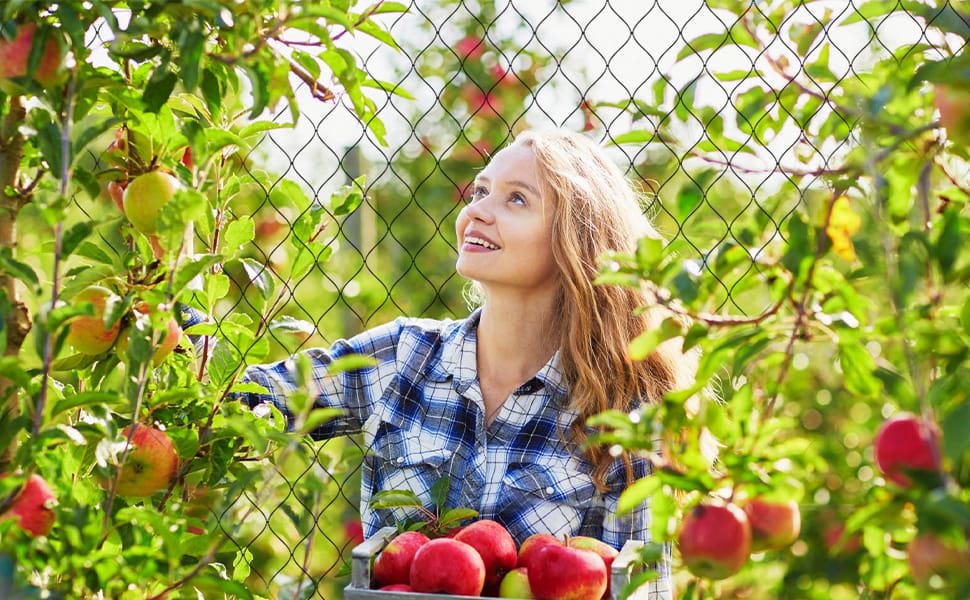 garden netting