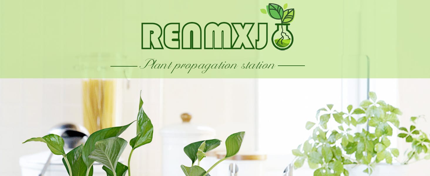 RENMXJ Plant Propagation Station