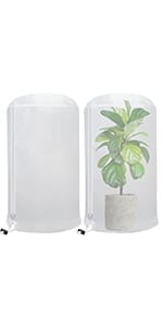 freeze plants cover