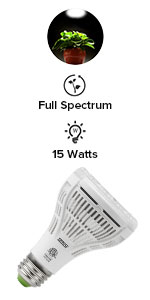 par15w