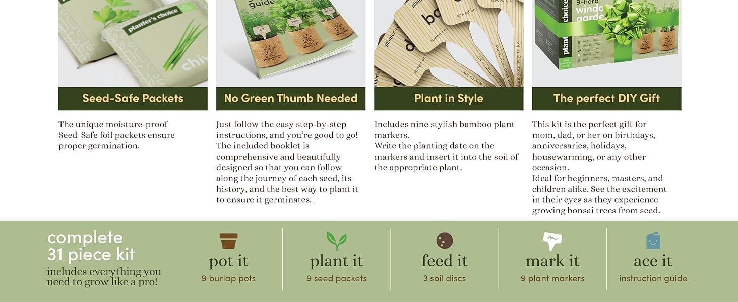 Food Sleek finish herbs spice Professional chef