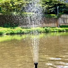 pond fountain head SHAPES 4