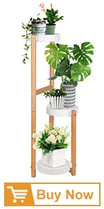 plant stand