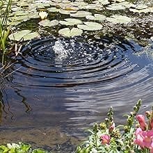 pond algaecide safe for fish how to use aeration