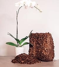 soil for coco potting coir coconut garden mix organic plants plant mulch indoor grow seeds