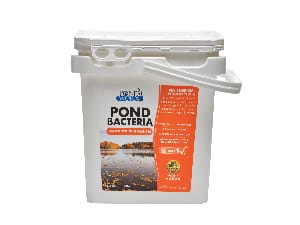 Pond Bacteria Water Soluble Packets