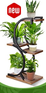 plant stand