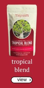 tinyroots tropical blend bonsai soil suelo de bonsái