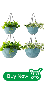 HAP-BLUE-4Pack