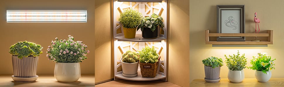 grow light