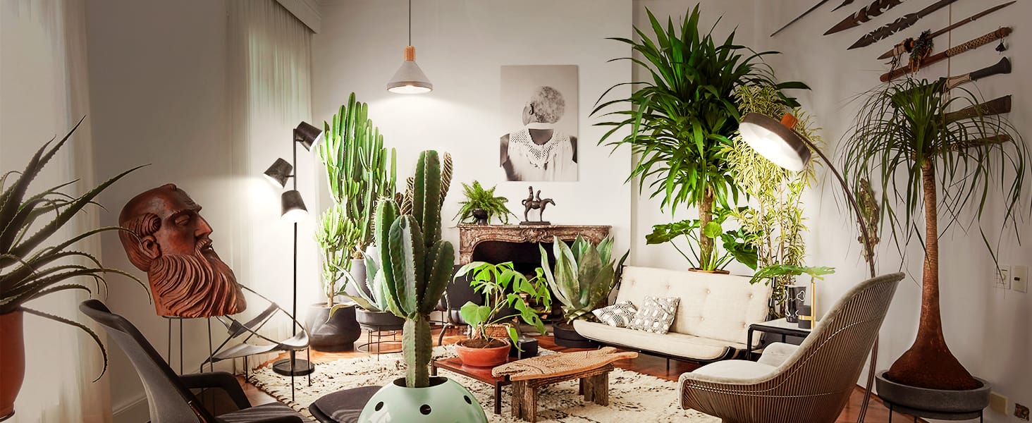 grow light bulb for indoor plants