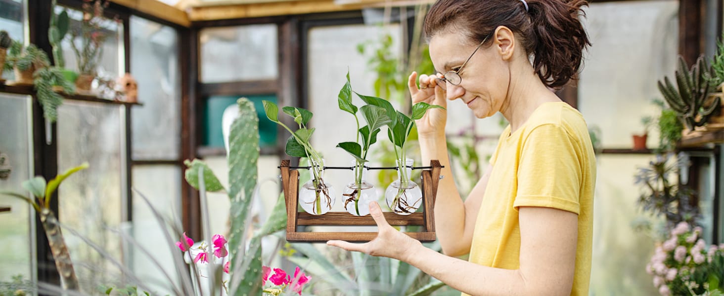 Plant Terrarium with Wooden Stand
