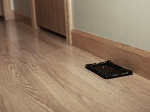 glue tray