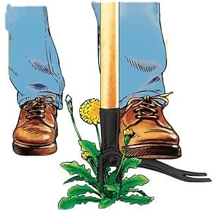 Grampas weeder grandpas weeding puller removal weeds dandelion stand up original weeding