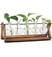 RENMXJ Plant Propagation Station, Gifts for Women, Home Office Garden Decor Planter(5 Bulb Vase)