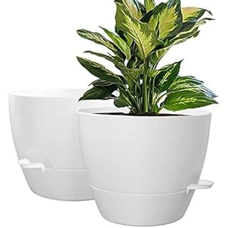 WOUSIWER 10 inch Self Watering Planters, 2 Pack Large Plastic Plant Pots with Deep Reservior and High Drainage Holes for Indoor Outdoor Plants and Flowers, White