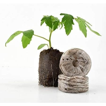 150 Jiffy 7 Peat Pellets 50mm - Large Pellets - Seeds Starting - Jiffy Peat Pellet Helps to Avoid Root Shock