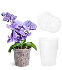 orchid pots