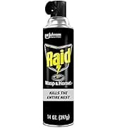 Raid Wasp and Hornet Killer Spray, Kills the entire nest, Kills Paper Wasps, Yellow Jackets, Mud ...