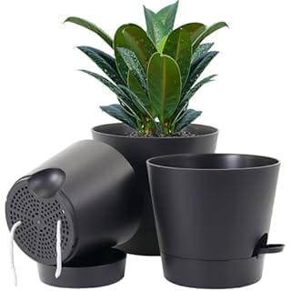 UOUZ Self Watering Plant Pot, 10/9/8 inch Set of 3 Plastic Planter Pots for Indoor Plants with Drainage Holes Deep Reservoir for Indoor Outdoor Plants and Flowers, Black