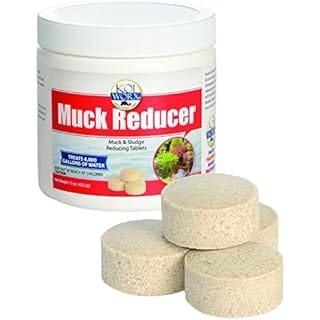 KoiWorx Muck Reducer, 145 Tablets Treats up to 6,000 Gallons of Water, Beneficial Bacteria Reduces Muck, Sludge and Organic Build up, Formulated for Ponds, Water Features and Safe for Koi