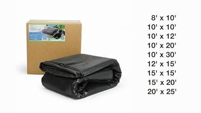 Video Widget Card