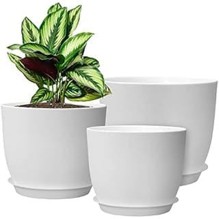 WOUSIWER Plant Pots 10/9/8 inch, Set of 3 Modern Decorative Plastic Planters with Drainage Holes and Saucers for House Plants Indoor Flowers Plants, White