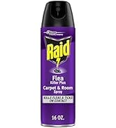 Raid Flea Killer Carpet & Room Spray, Kills hatching eggs for up to 4 months, 16 Oz