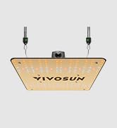 LED Light