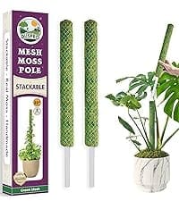 mesh pole