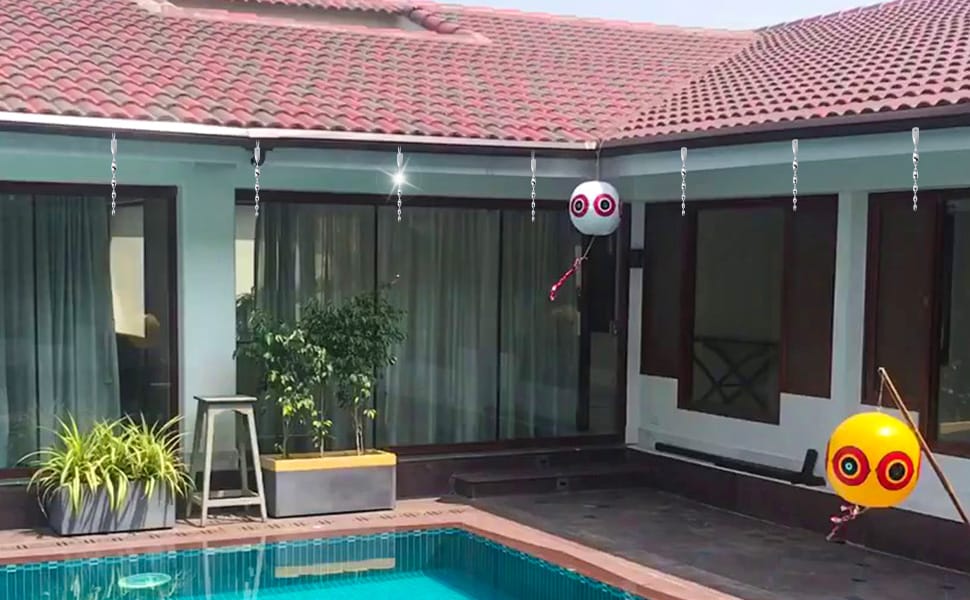 Effective Bird Deterrent: